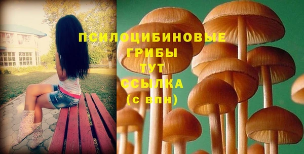 тгк Михайловка