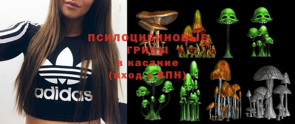 амф Алзамай