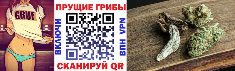 Галлюциногенные грибы мухоморы  Северодвинск 
