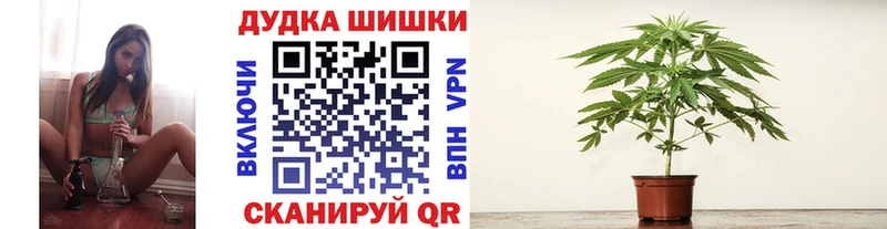 купить наркотики цена  Северодвинск  Каннабис тримм 